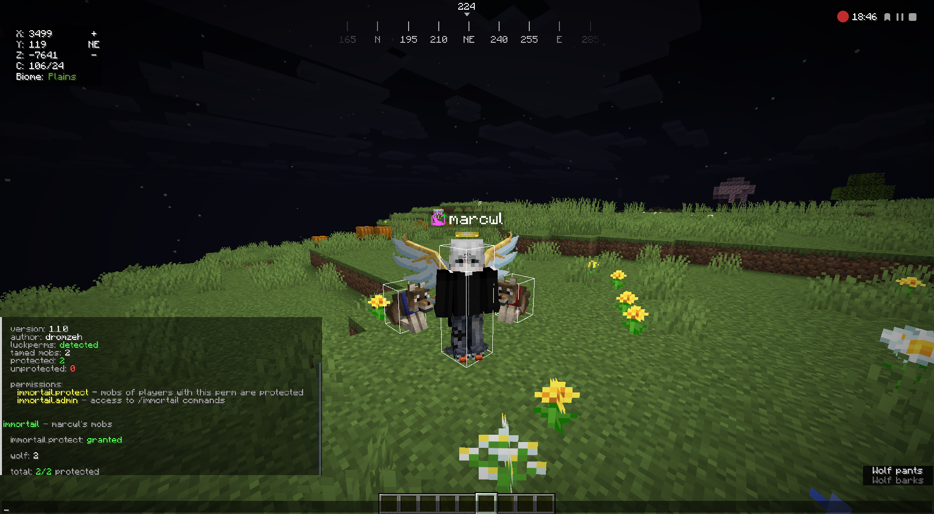 in game cmd ss
